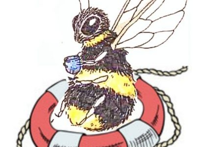 Chrońmy owady zapylające