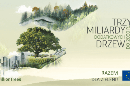 Trzy miliardy dodatkowych drzew do 2030 r.