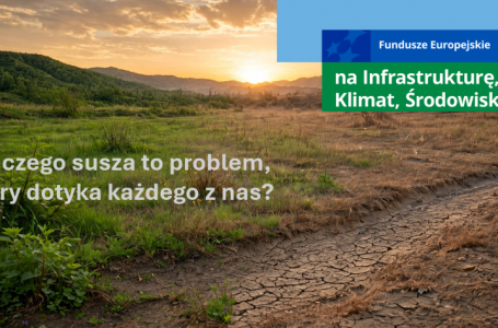 Jak współczesne zmiany klimatyczne zmieniają definicję suszy, co każdy z nas może zrobić, aby zatrzymać ten wysychający scenariusz?